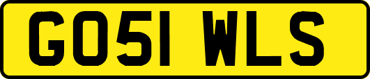 GO51WLS