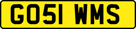 GO51WMS