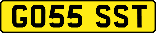 GO55SST