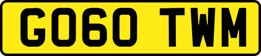 GO60TWM