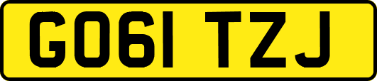 GO61TZJ