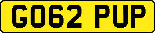 GO62PUP
