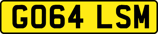 GO64LSM
