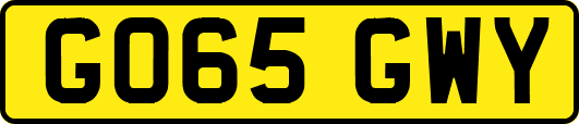 GO65GWY
