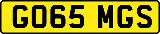 GO65MGS