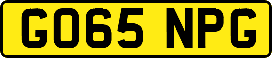 GO65NPG