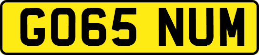 GO65NUM