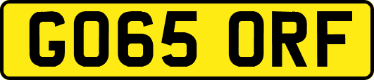 GO65ORF