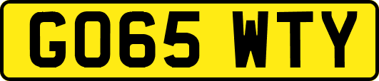 GO65WTY