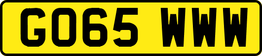 GO65WWW