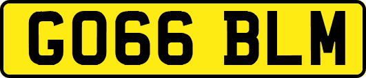 GO66BLM