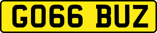 GO66BUZ