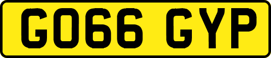 GO66GYP