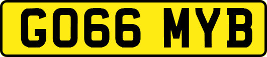 GO66MYB