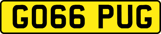GO66PUG