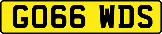 GO66WDS