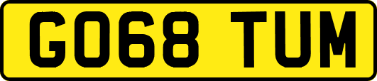 GO68TUM