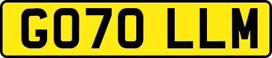 GO70LLM