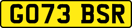 GO73BSR