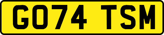 GO74TSM