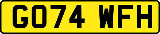 GO74WFH