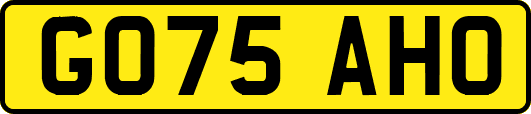 GO75AHO