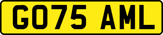 GO75AML