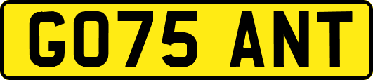 GO75ANT
