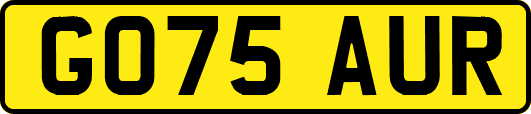 GO75AUR
