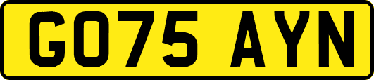 GO75AYN