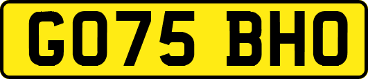 GO75BHO