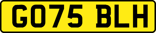 GO75BLH