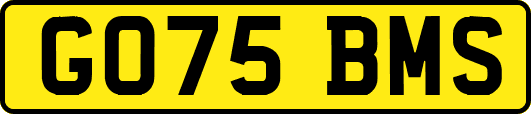 GO75BMS