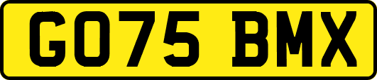 GO75BMX