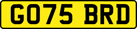 GO75BRD
