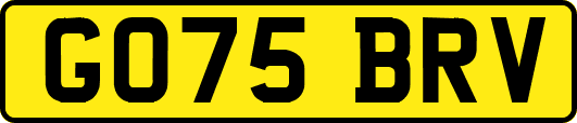 GO75BRV