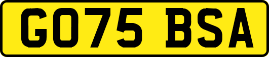 GO75BSA