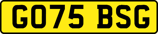 GO75BSG