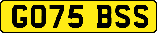 GO75BSS