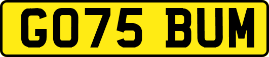 GO75BUM