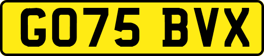 GO75BVX