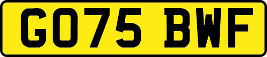 GO75BWF