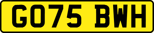 GO75BWH