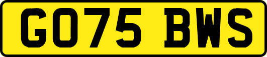 GO75BWS