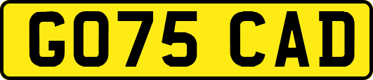 GO75CAD
