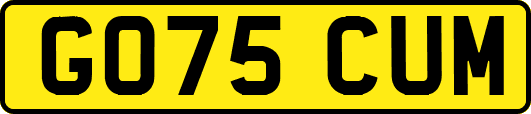 GO75CUM