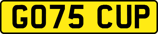 GO75CUP