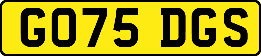 GO75DGS