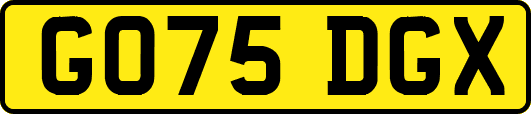 GO75DGX