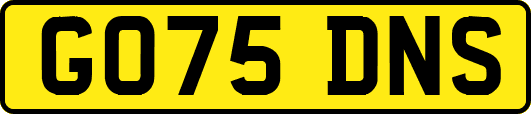 GO75DNS